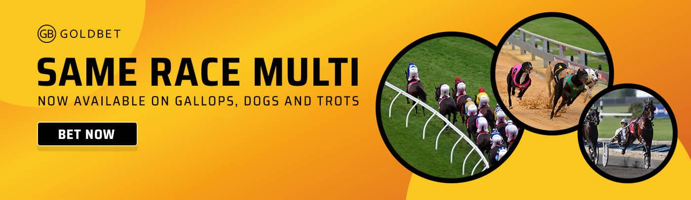 Sports betting download