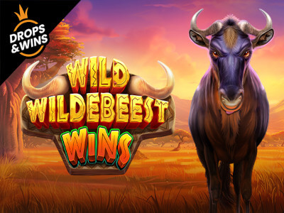 Jogos de cassino online